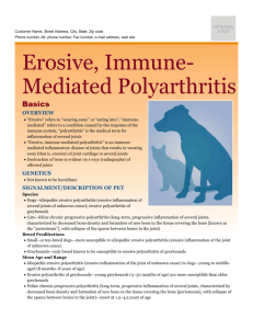 erosive_immune-mediated_polyarthritis