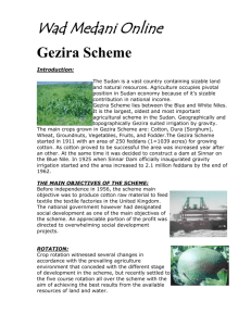 Gezira Scheme