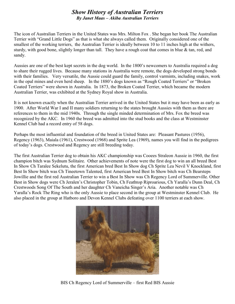 mynte give Andesbjergene Show History of Breed - Australian Terrier Journal