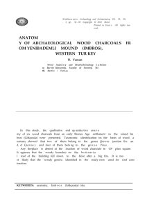 M editerra nea n Archaeology and Archaeometry, Vol. 11, No . 1, pp