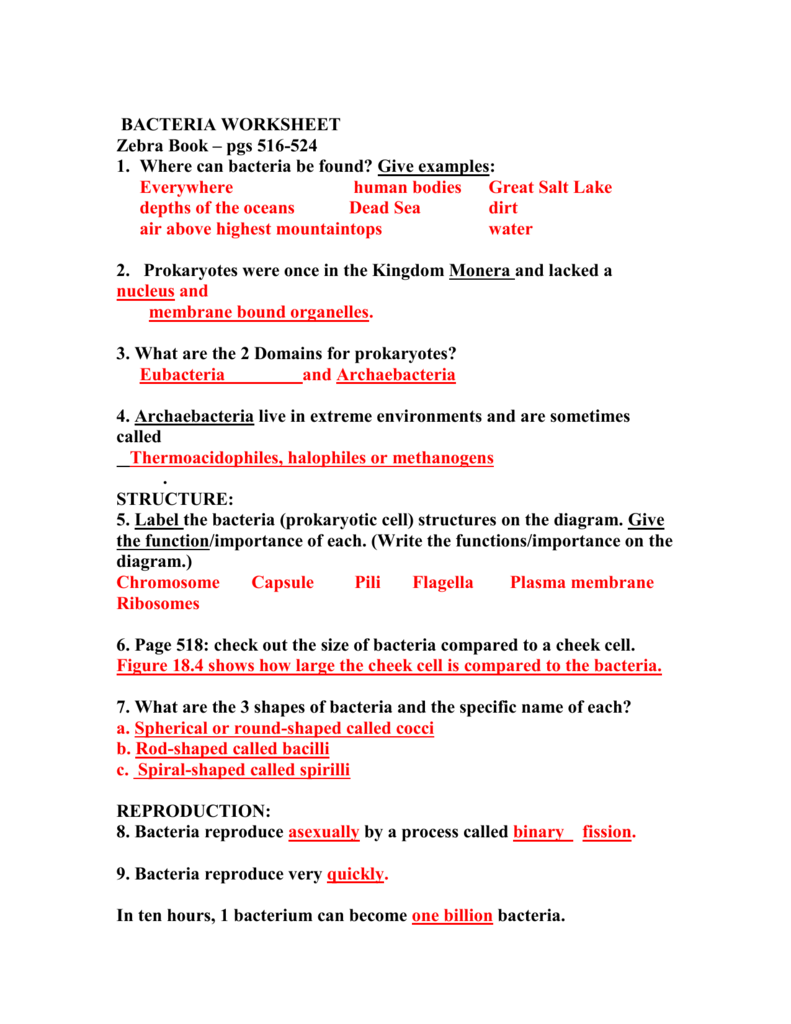 BACTERIA WORKSHEET - pcmac Regarding Prokaryotes  Bacteria Worksheet Answers