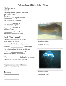 Palaeontology Notes