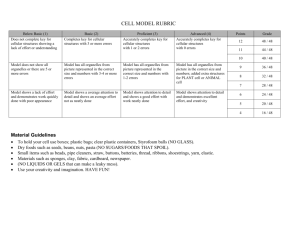 CELL MODEL RUBRIC