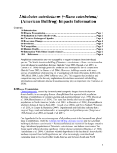 Lithobates catesbeianus (American Bullfrog) Impacts Information