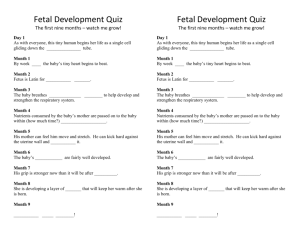Fetal Development Quiz