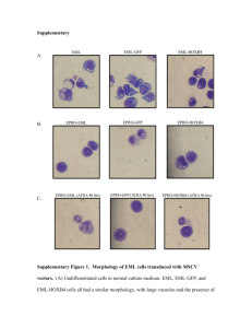 Supplementary A. B. C. Supplementary Figure 1. Morphology of