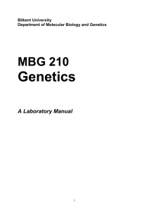 genetics laboratory manual - Faculty of Science at Bilkent University