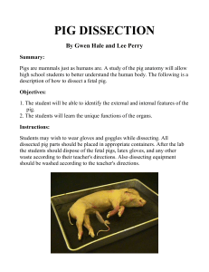 Ch. 1 pig_dissection_word_version1