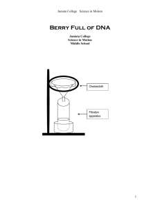 Strawberry DNA extraction
