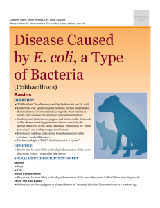 disease_caused_by_e._coli