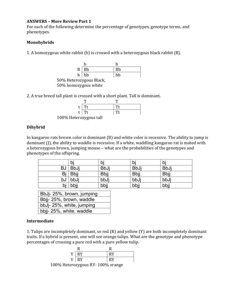 ANSWERS – More Review Part 22 For each of the following Intended For Genotypes And Phenotypes Worksheet Answers