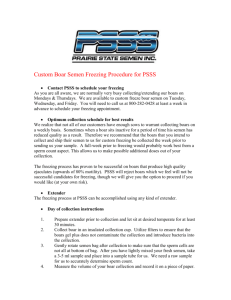 Custom Boar Semen Freezing Procedure for PSSS