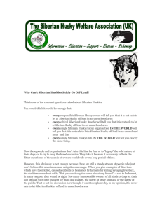 click here - Siberian Husky Welfare Association