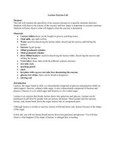 Lactase Enzyme Lab