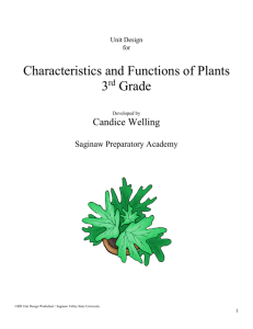 Characteristics and Functions of Plants
