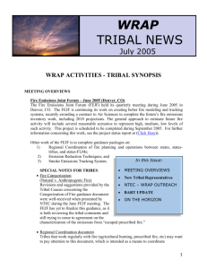WRAP ACTIVITIES TRIBAL SYNOPSIS