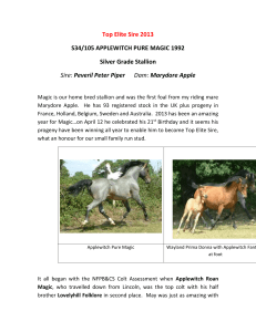 Top Elite Sire 2013 - The New Forest Pony Breeding and Cattle