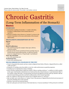 chronic_gastritis