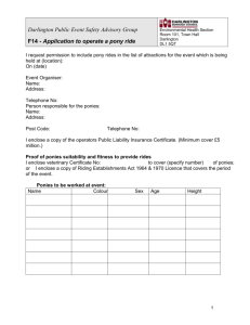 Application to operate a pony ride