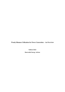 Woody Biomass Utilization for Power Generation