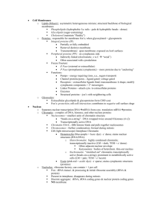 Cells & Organelles