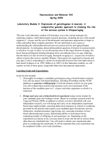 Laboratory Module 3: Expression of gerontogenes