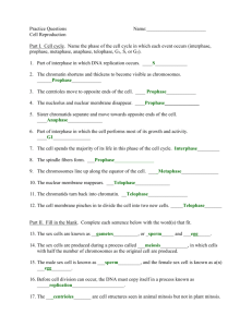 Chapter 8 Practice Questions