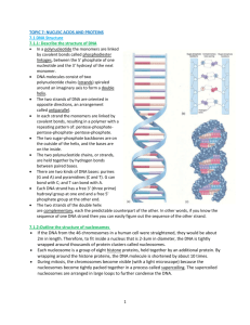 Topic 7 Notes (Nucleic Acids and Proteins)
