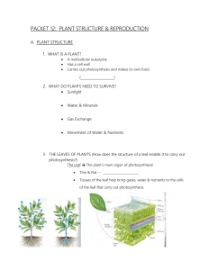 PACKET 7: PLANT STRUCTURE & REPRODUCTION