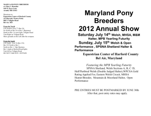 wpcsa halter divisions - Maryland Pony Breeders