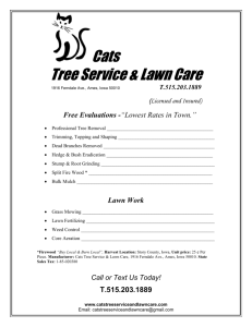 NEW LAWNS A Landscape and Tree Care Company