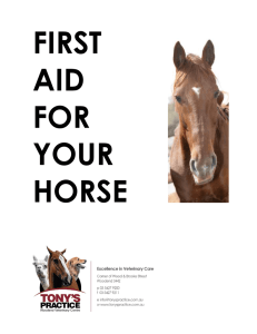 First Aid for your horse