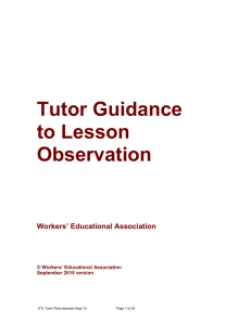 Tutor Guidance to Lesson Observation