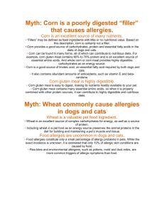 Myth: Corn is a poorly digested “filler” that causes allergies