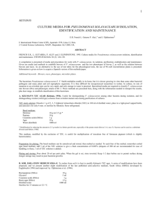 Culture media for Pseudomonas solanacearum isolation