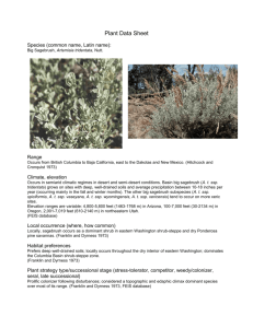 Artemisia tridentata.. - University of Washington