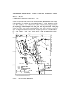 Salinity and Turbidity Patterns within Estero Bay Aquatic Preserve