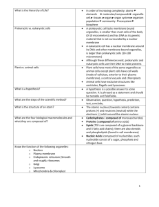 Final exam study guide