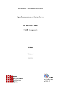 6 The IPSec CGOE component