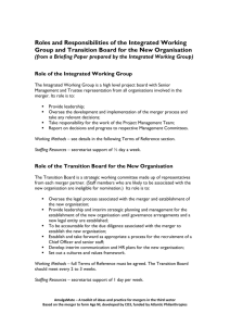 Roles and Responsibilities of the Integrated Working Group