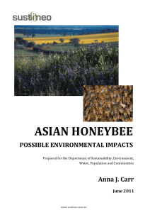 Asian honeybee - Department of the Environment