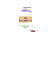 BARGARH HANDLOOM CLUSTER - Indian Handloom Cluster