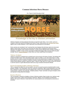 Common Infectious Horse Diseases