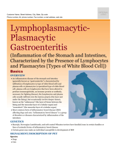 lymphoplasmacytic-plasmacytic_gastroenteritis