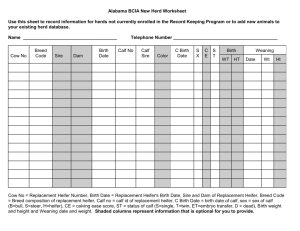 Alabama BCIA New Herd Worksheet