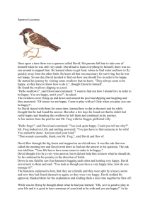 Sparrow`s journey Once upon a time there was a sparrow called