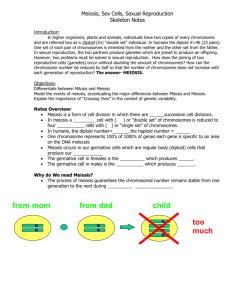 Meiosis, Sex Cells, Sexual Reproduction