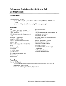 PCR and Gel Electrophoresis Lab