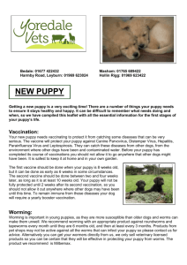New Puppy Information