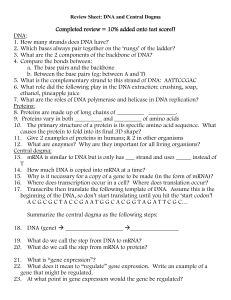 Genetics Review Sheet: Inheritance, DNA, and Central